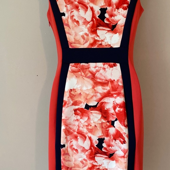 Rose Print with Navy Trim neoprene dress - Picture 4 of 5